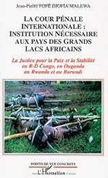 La  cour pénale internationale
