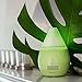 SpaRoom Mini Scentifier USB Powered Portable Essential Oil Diffuser - Color Changing Fragrance Diffuser - For Work or Travel (Lime)