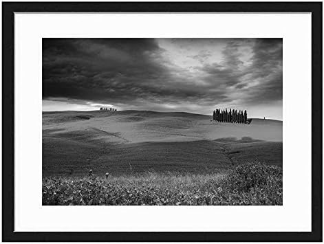 Tcrying Prairie Flowers - Art Print Wall Black Wood Grain Wall Art Picture 20x14 Inches Framed
