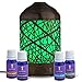 Pure Essential Oil Nebulizer Made of Wood and Glass. Waterless Oil Diffuser, No Heat, No Plastic oil contact, Classic Decorative Aromatherapy Vaporizer for Home or Healthcare Practice.