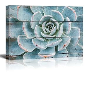 Rustic Green Blue Pastel Succulent - Canvas Art