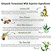 Natural Sulfate Free Hair Growth Shampoo & Conditioner Set - for Hair Loss & Thinning Hair. Natural & Organic Hair Product for Healthy Scalp.