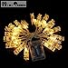 Homo Trends Photo Clips Led 40 Pack with String Rope free as a Gift | Led Art clips Best for Photos, Cards, Memos, Art Work & Birthday Parties by