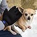 Pet Grooming Brush Glove - For Long Short Or Curly Hair Comb - Gentle Massage Tool And Hair Removal For Dogs Cats and Horses - Professional Pet Deshedding Grooming Glove For Healthy Coat - Misterrmar