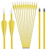 Elong Fiberglass Arrows Archery 24 26 Inch Yellow Shooting Targeting Recurvebow for Youth Kids Children Beginner Safe Point