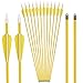 Elong Fiberglass Arrows Archery 24 26 Inch Yellow Shooting Targeting Recurvebow for Youth Kids Children Beginner Safe Point