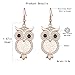 Owl Dangle Earring for Women,Hypoallergenic Rose Gold and Silver Plated Drop Earrings with Shining Crystal (Rose Gold)