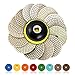 SPTA 15pcs Diamond Wet Polishing Pads Set, 4 inch Pads for Granite Stone Concrete Marble Floor Grinder or Polisher, 50#-6000# with Hook & Loop Backing Holder Pads for Wet Polisher primary