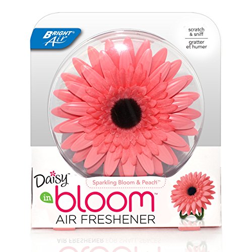 air office for freshener Freshener: Best Air Office Amazon.com air office for freshener Freshener: Best Air Office Amazon.com