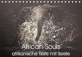 African Souls - afrikanische Tiere mit Seele (Tischkalender 2020 DIN A5 quer): Zauberhafte Tierseele by 