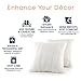 Cheer Collection Faux Fur Throw Pillows - Decorative Pillows for Couch, Bed Throw Pillows, White Accent Pillows for Bedroom or Living Room Aesthetic, Set of 2 Furry Throw Pillows, 18”x18”