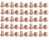 YXQ 50 Pcs Copper Solid Rivets 1/4 Diameter 5/16 L