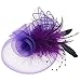 Navifoce Fashion Women's Flower Feather Mesh Net Fascinator Beaded Cocktail Headwear with Hair Clip and Brooch (Light Purple)