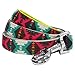Blueberry Pet 2 Colors Southwestern Vintage Tribal Print Dog Leash with Soft & Comfortable Handle, 5 ft x 3/4