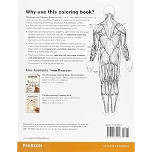 The Anatomy Coloring Book
