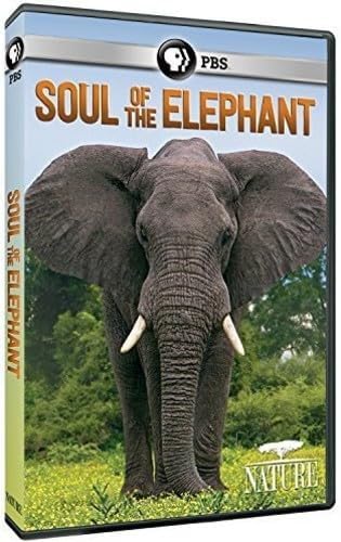 Amazon.com: Wild Asia 1: In the Realm Of The Red Ape [Blu-ray