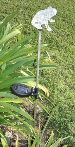 Solar Frog Color Change Light E2179 (set of 2)