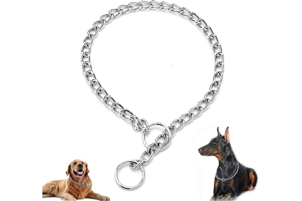 Dog Chain Collars, Metal Choke Link Dog Collar Choker Training Heavy Duty Slip Martingale Puppy Collars for XS Small Medium L