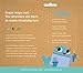 The Brushies Willa The Whale Toddler Toothbrush & Storybook Set/Dental Item and Book/Youth Tooth & Gum Care/Ages 4 Weeks to 4 Years