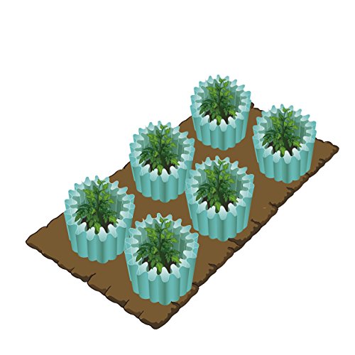 Water Wall Plant Protector, Season Extender, Gardening Teepee, 12 Pack Water Wall Plant Protector, Season Extender, Gardening Teepee, 12 Pack