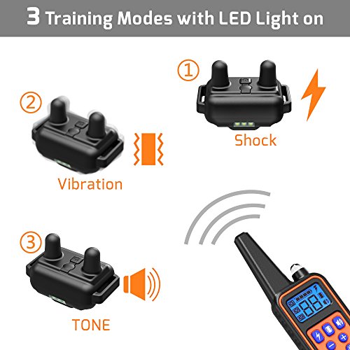veckle dog training collar
