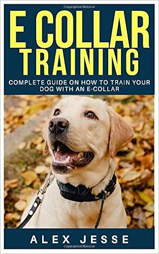 training your dog with an e collar