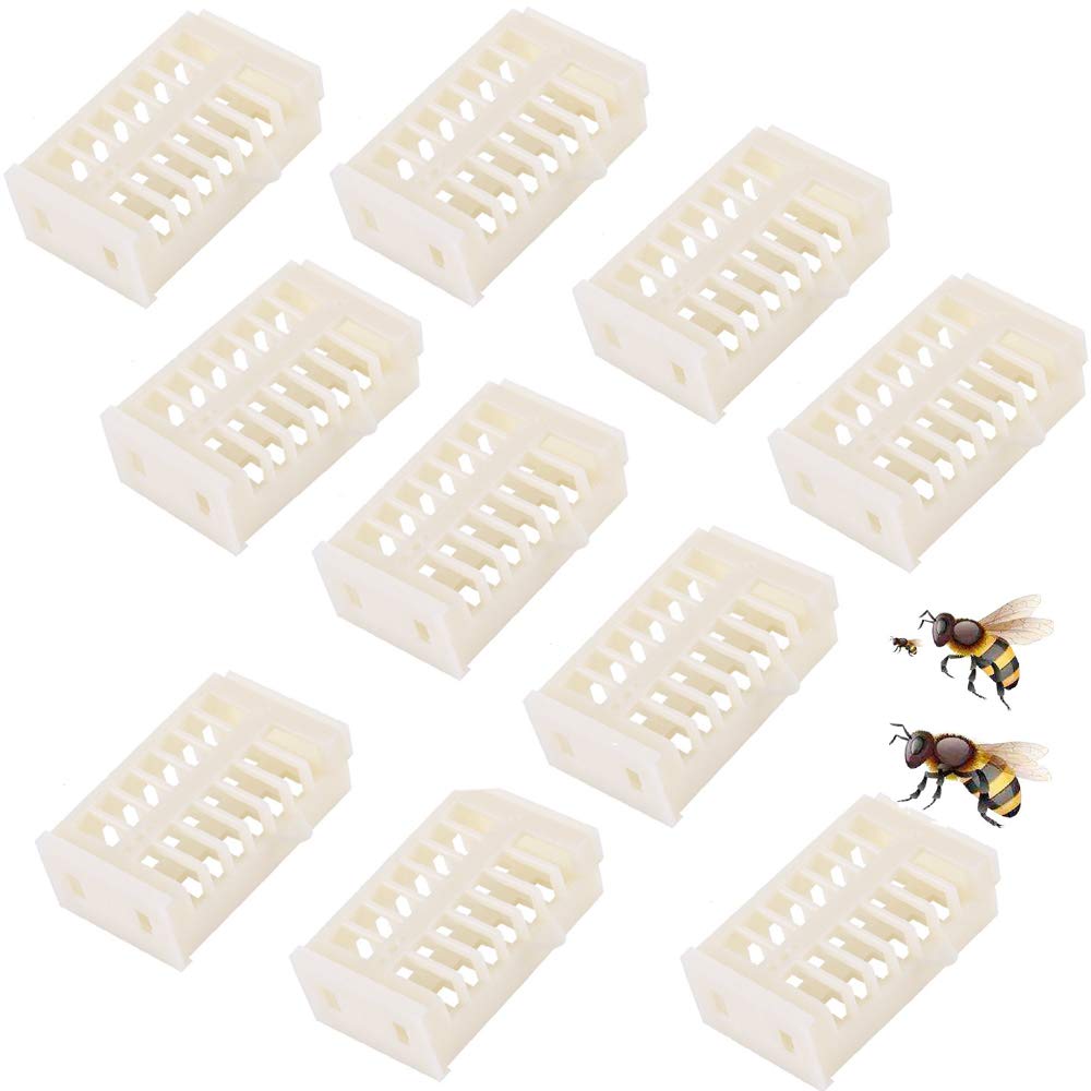Nuluxi White Plastic Bee Queen Cages Beekeeping Rearing Plastic Cages Kit Queen Bee Catcher Beekeeping Tools Accessories Transporting Catcher Beekeeper Beekeeping Useful and Practical Tool (10 Pieces)