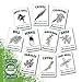 Rebel Gardens Organic Herb Seeds - USA Grown Non GMO Heirloom Seed for Planting Indoors or Outdoors Garden (10 Culinary Variety Pack) primary