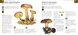 Image de Champignons