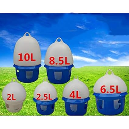 Amazon Com Verbena Hot Bird Feeding Drinker Birds Water