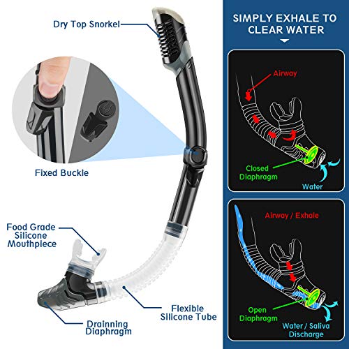 image for ZEEPORTE Mask Fin Snorkel Set with Adult Snorkeling Gear, Panoramic Vi