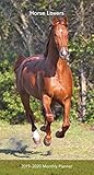Horse Lovers 2019 3.5 x 6.5 Inch Two Year Monthly Pocket Planner, Animals Horses