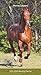 Horse Lovers 2019 3.5 x 6.5 Inch Two Year Monthly Pocket Planner, Animals Horses