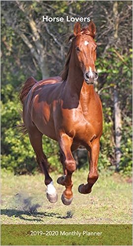 Horse Lovers 2019 3.5 x 6.5 Inch Two Year Monthly Pocket Planner, Animals Horses Horse Lovers 2019 3.5 x 6.5 Inch Two Year Monthly Pocket Planner, Animals Horses