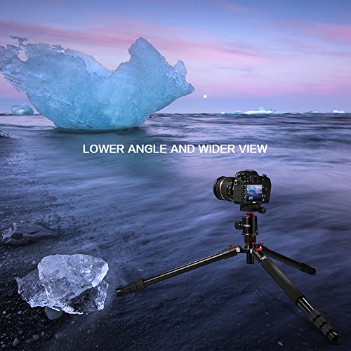 Tycka-Lightweight-65-Aluminum-Travel-Tripod-TK101-360-Panorama-Ball-head-36mm-diam-10kg-Load-Capacity-New-Angle-Adjustment-Lock-and-Twist-lock-Comfortable-and-Easy-to-Use-for-Camera-Camcorder