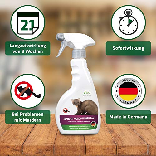 GARDIGO® Marderspray - Marderschreck für Auto, Dachboden, Garten | 500ml mit Eukalyptus-Citriodora Ãl | Marderabwehr Auto zum Marder vertreiben | Abwehrspray gegen Marder im KFZ | Made in Germany – Bild 5