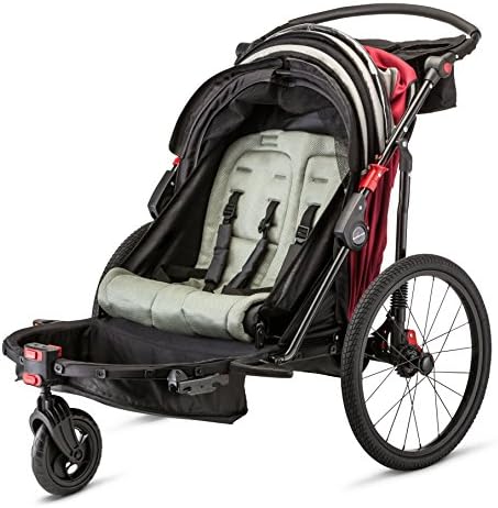 schwinn double trailer