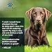 Lillian Ruff Waterless Dog Shampoo - No Rinse Quick Dry Shampoo for Dogs Spray - Tear Free Lavender Coconut Scent to Deodorize Pet Odor and Freshen Coat - Made in USA (16oz)