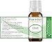 Lime Essential Oil 10 ml 100% Pure Undiluted Therapeutic Grade Cold Pressed from Fresh Lime Peel, Great for Aromatherapy Diffuser, Relaxation and Calming, Natural Cleaner.