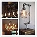 INNOCCY Edison Light Bulb , 60W E26 E27 Vintage Bulb Dimmable ST64 Antique Squirrel Cage Light , 2300K , 240 Lumens , Pack Of 12