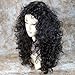 Amazing Sexy Wild Untamed Long Curly Wig Black Brown Ladies Wigs WIWIGS