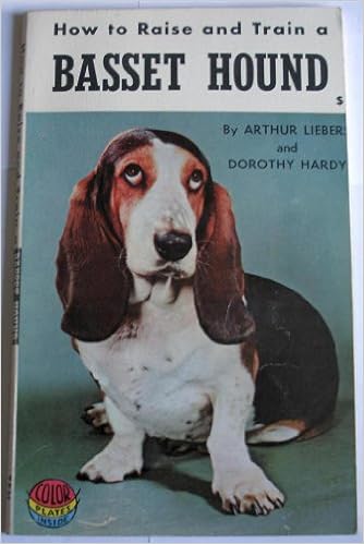 raising a basset hound