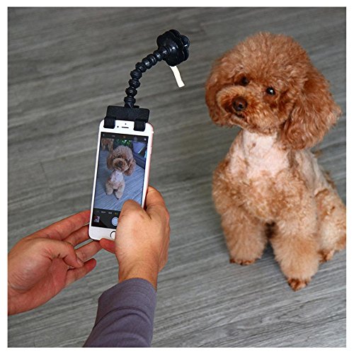 OOEOO Portable Pet Selfie Stick Phone Attachment Dog Cat Take Photos Training Toy Fun