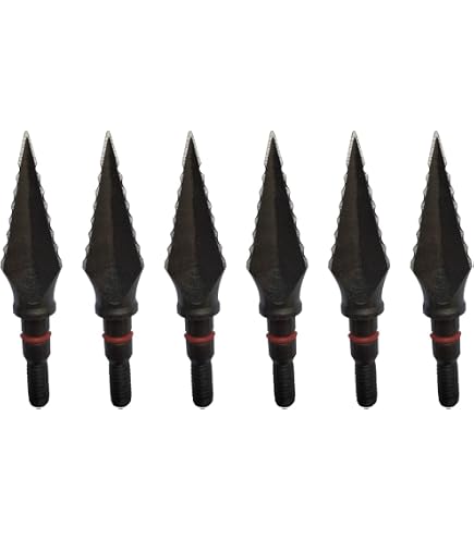 Amazon.com : GPP 12PK Steel Screw Archery Broadheads 3 Edges 125