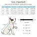 Pawaboo Adjustable Dog Safety Vest Harness with Seatbelt, Dog Seat Belt Harness for Car with Vehicle Connector Strap, Breathable Dog Seatbelt Safety Tether for Small Medium Large Pet, Small, Black