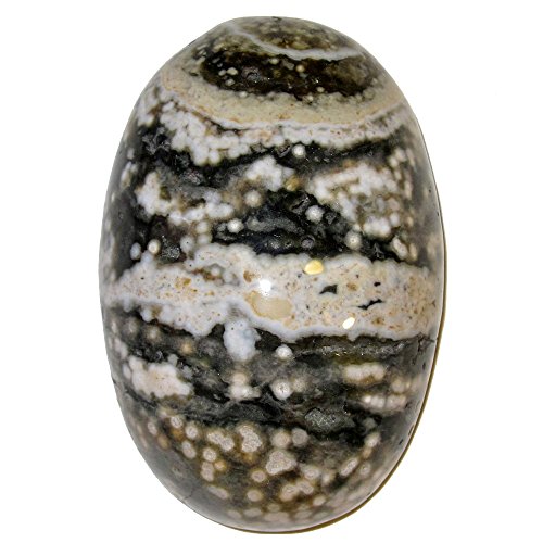 Jasper Polished Stone Ocean 03 Green White Sea Turtle Shell Madagascar Crystal 2.4" (Gift Box)