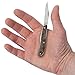 Case Camo Peanut Pocket Knife