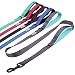 Vivaglory Reflective Dog Leash with Padded Handle, Heavy Duty 5ft Long Safety Training Double Handle Leash Walking Lead for Medium to Large Dogs, Grey