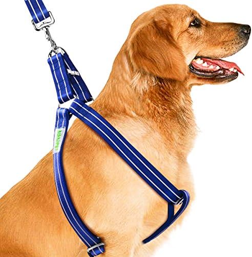 CoolPets Dog Harness Leash Collar Set, Nylon Halter Harnesses for Small, Medium, Large Breed Dogs, Adjustable Chest, Back Clip, No Pulling Easy for Walking, Running, Training, Medium, Blue