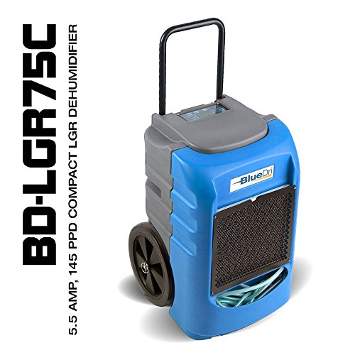 Top 10 Best Dayton Dehumidifier To Buy In 2021